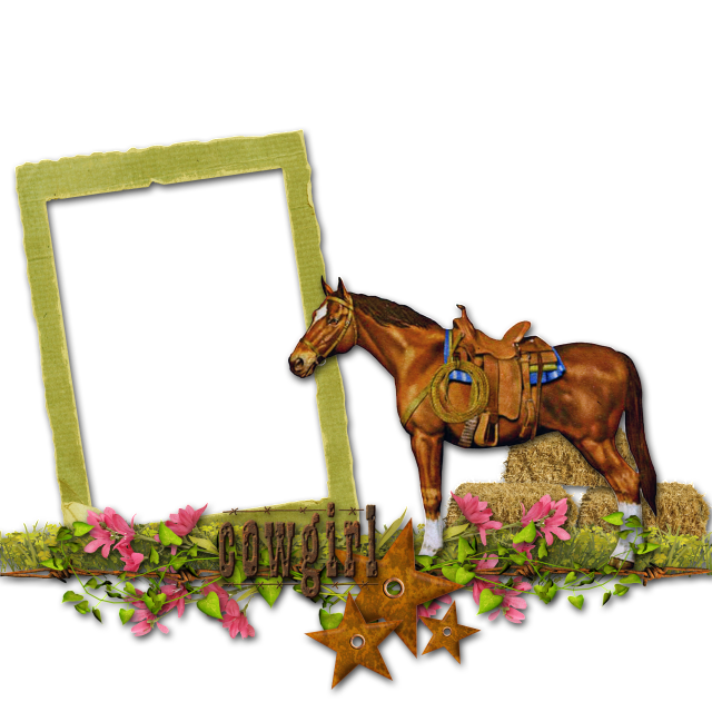 Horse With Stars Frame Photo by BranBran13 Photobucket